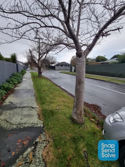 Roading/Streets, a report photo