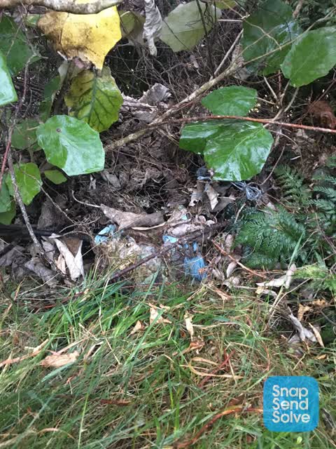 Rubbish/Recycling, a report photo