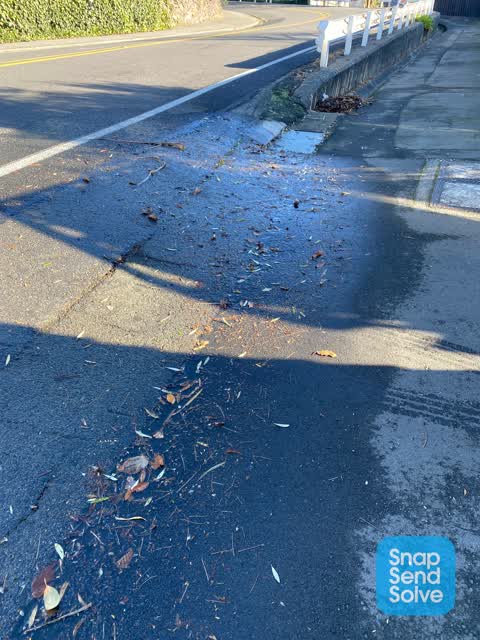 Wastewater/Stormwater, a report photo