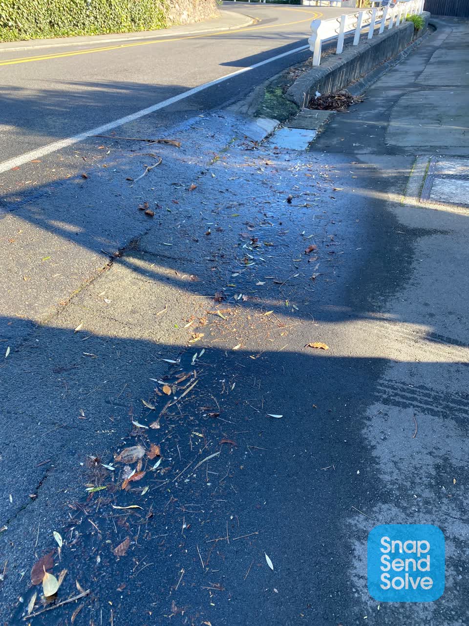 The photograph attached to this wastewater/stormwater report