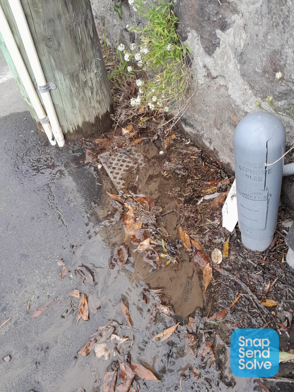 The photograph attached to this water leak report