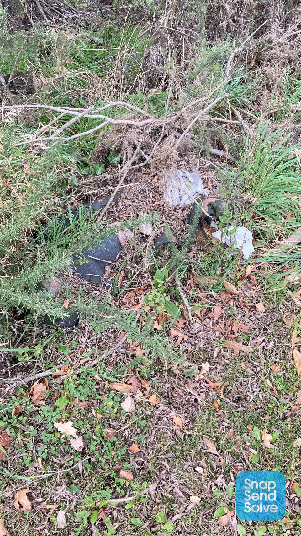 The photograph attached to this rubbish/recycling report