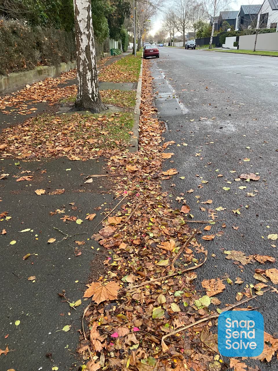 The photograph attached to this roading/streets report