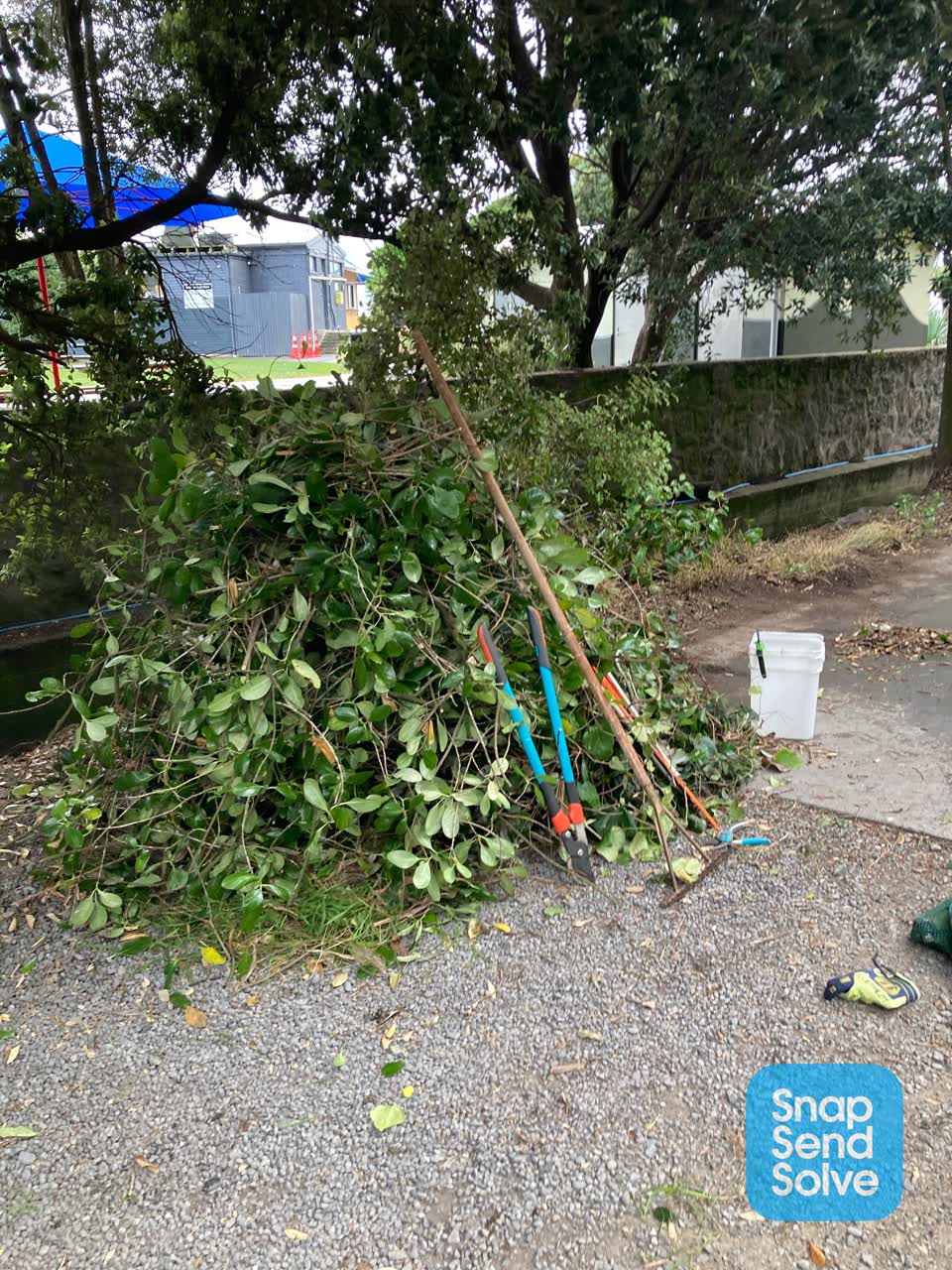 The photograph attached to this parks report