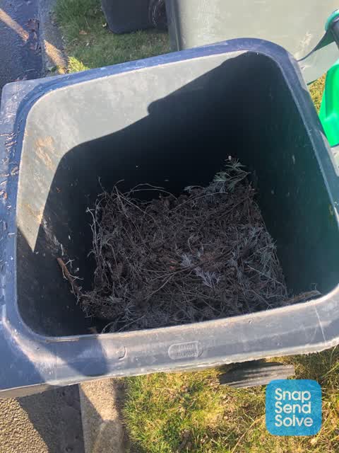 Rubbish/Recycling, a report photo