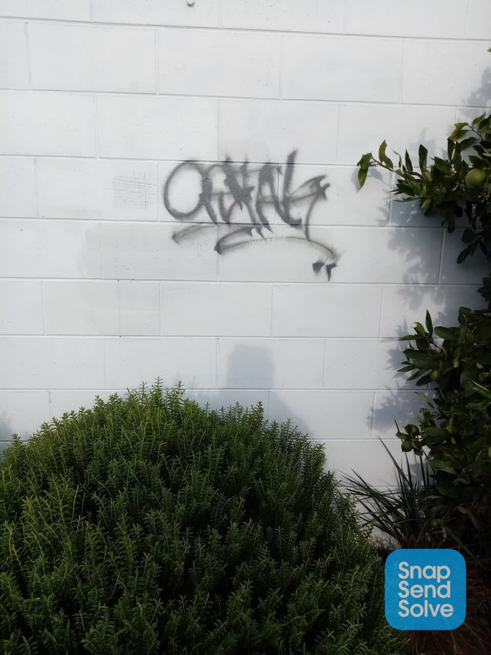 The photograph attached to this graffiti report
