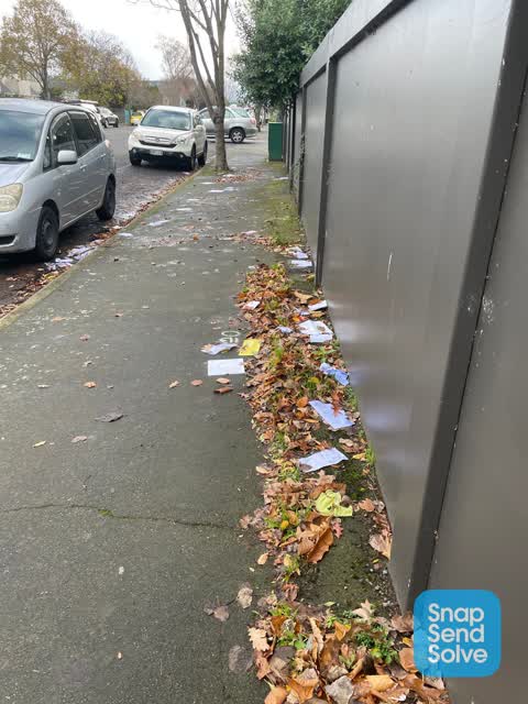 Rubbish/Recycling, a report photo