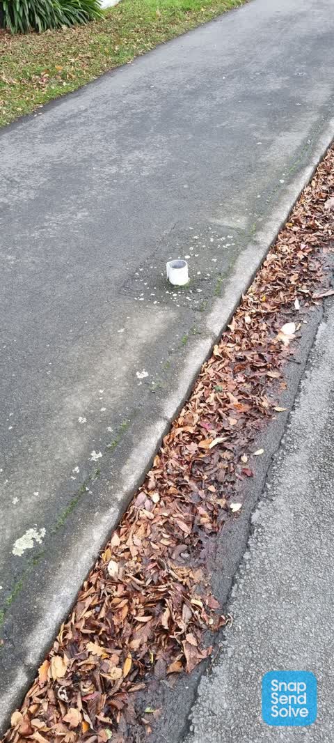 Roading/Streets, a report photo