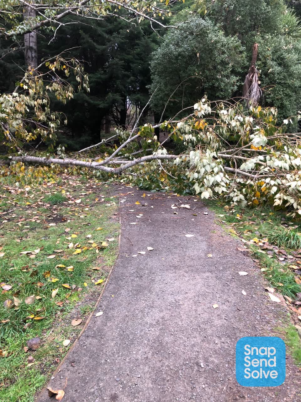 The photograph attached to this parks report
