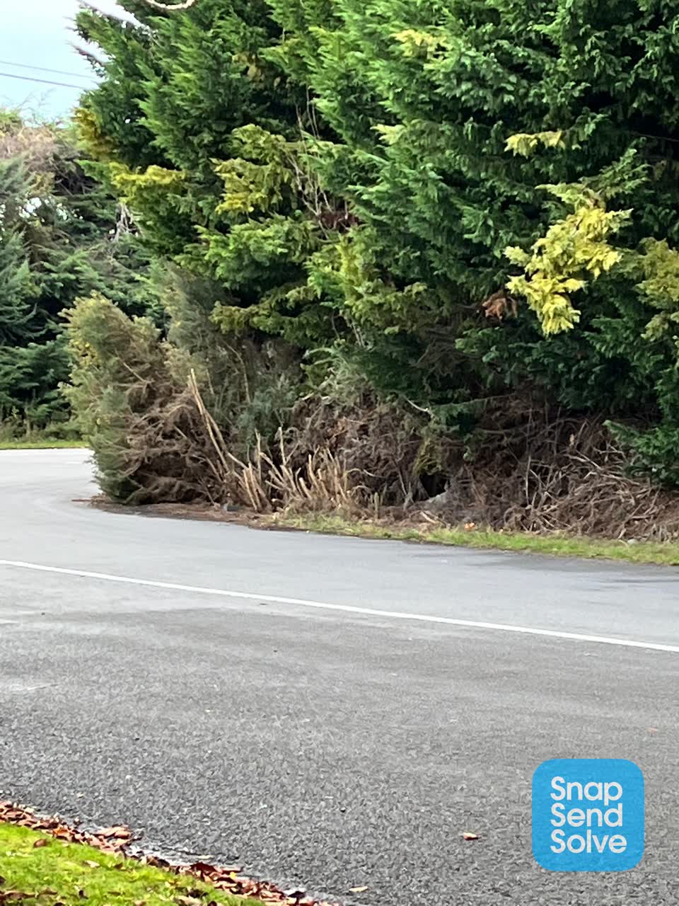 The photograph attached to this roading/streets report