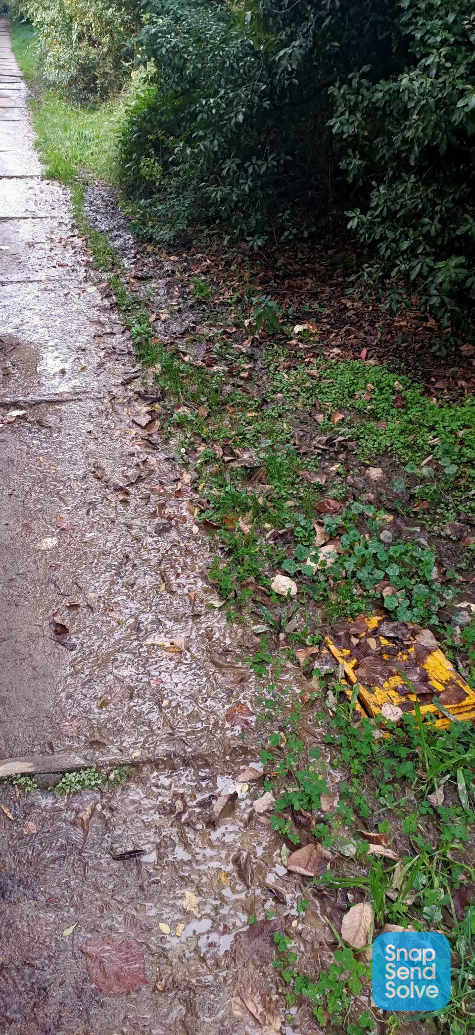 The photograph attached to this water leak report