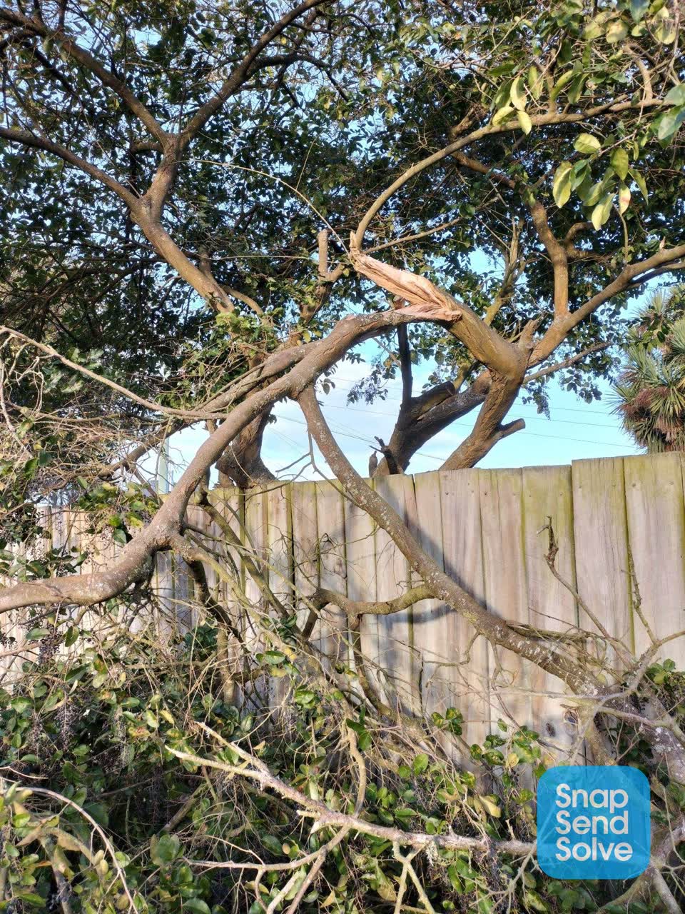 The photograph attached to this parks report