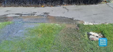 Water Leak, a report photo