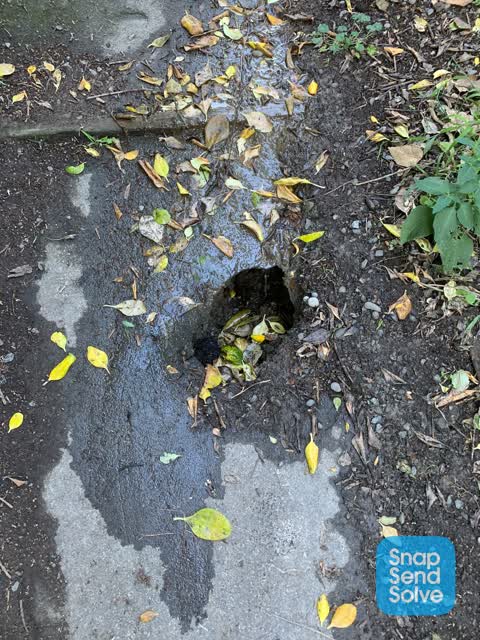 Roading/Streets, a report photo