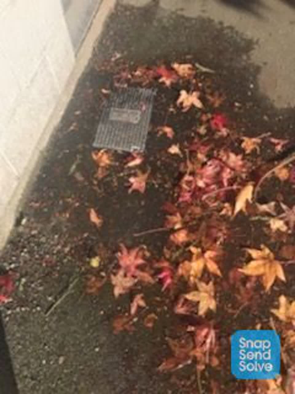 The photograph attached to this water leak report