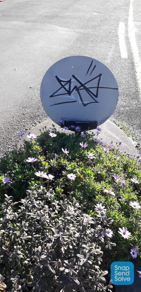 Graffiti, a report photo