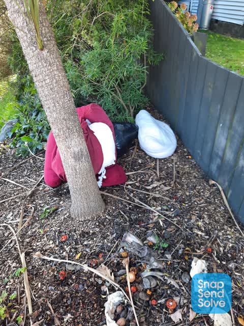 Parks, a report photo