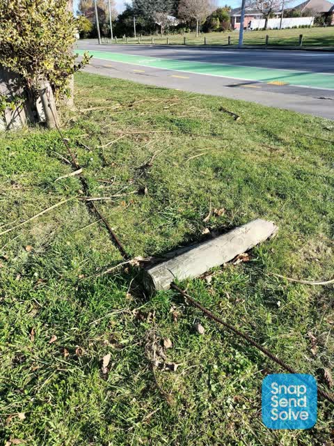 Parks, a report photo