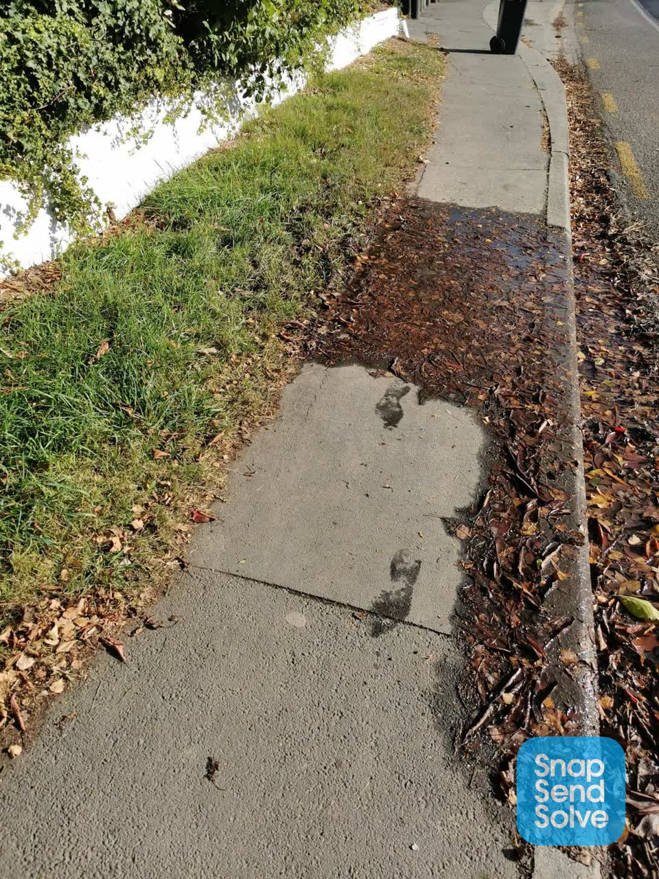 The photograph attached to this water leak report