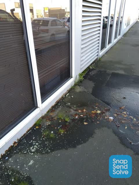 Water Leak, a report photo