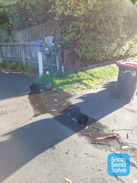 Water Leak, a report photo
