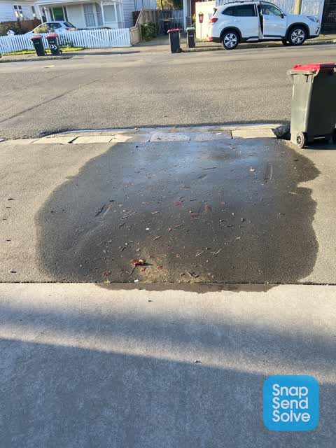 Water Leak, a report photo