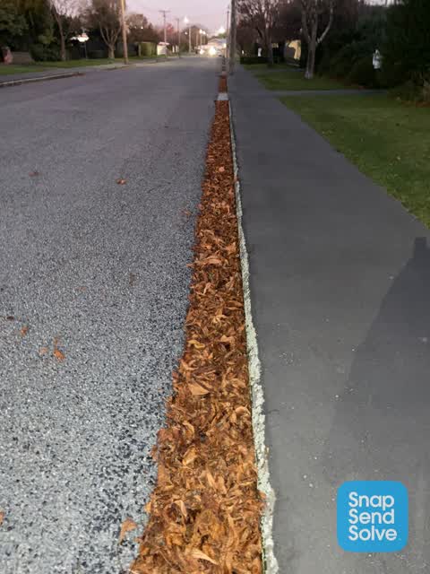Roading/Streets, a report photo
