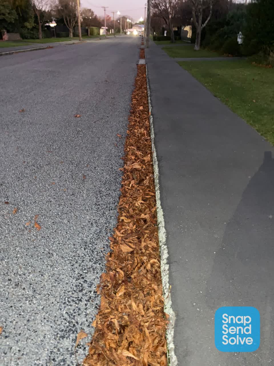 The photograph attached to this roading/streets report