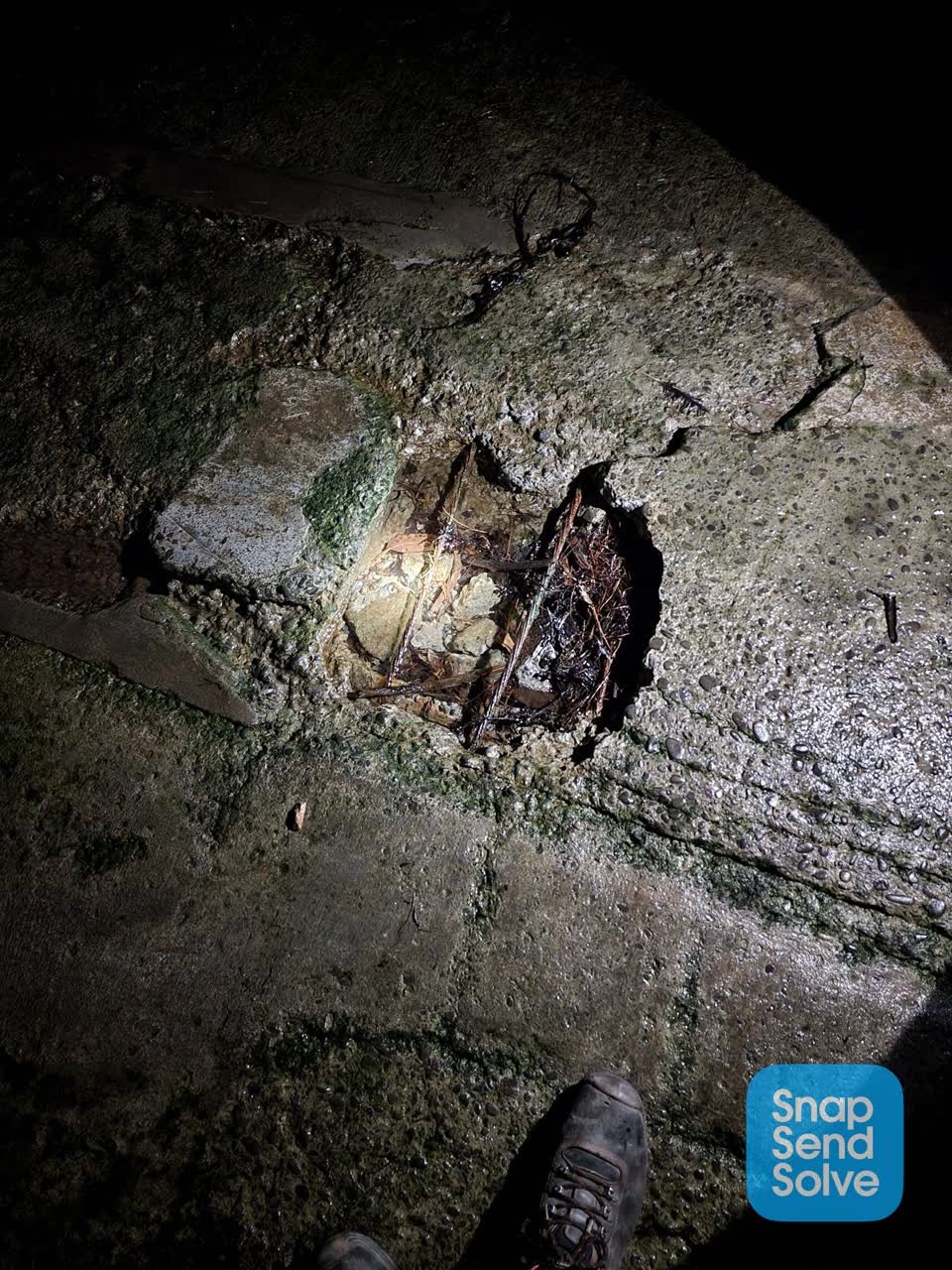 The photograph attached to this roading/streets report