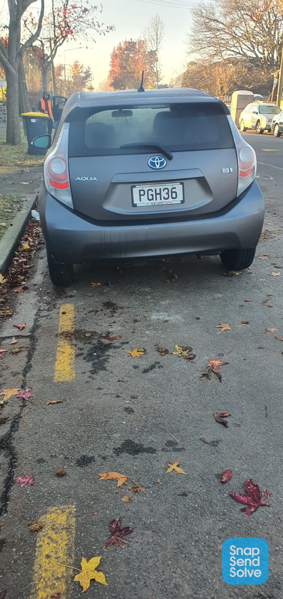 The photograph attached to this roading/streets report