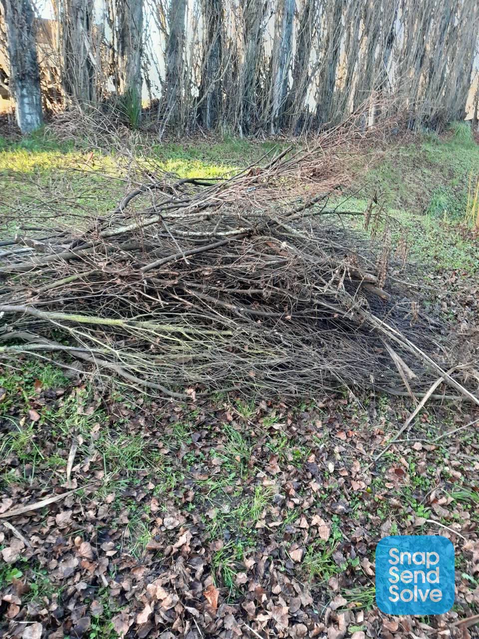 The photograph attached to this parks report