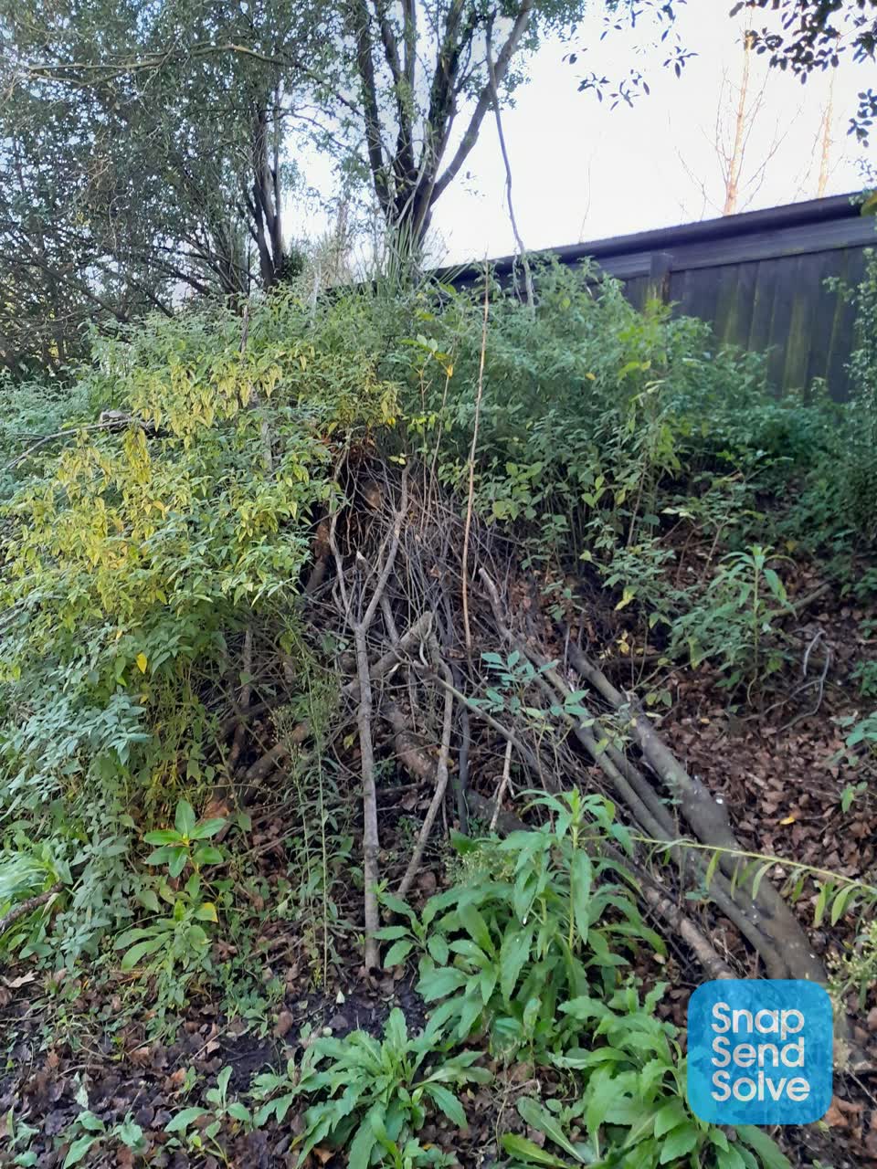 The photograph attached to this parks report