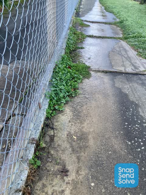Wastewater/Stormwater, a report photo