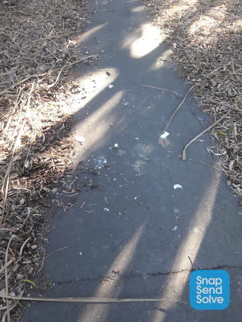 Parks, a report photo