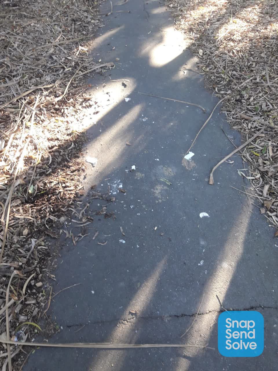 The photograph attached to this parks report
