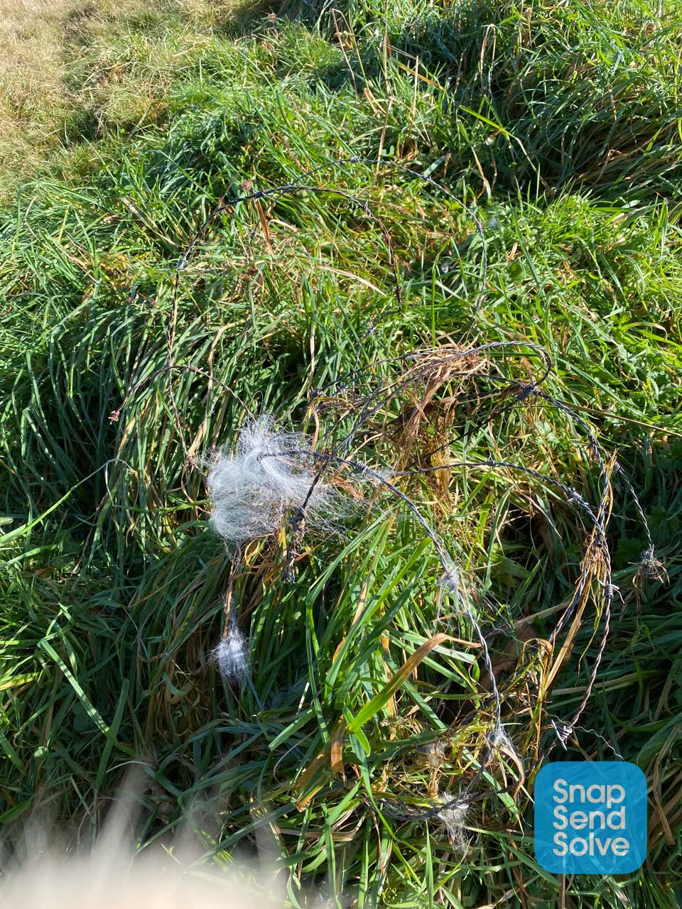 The photograph attached to this parks report