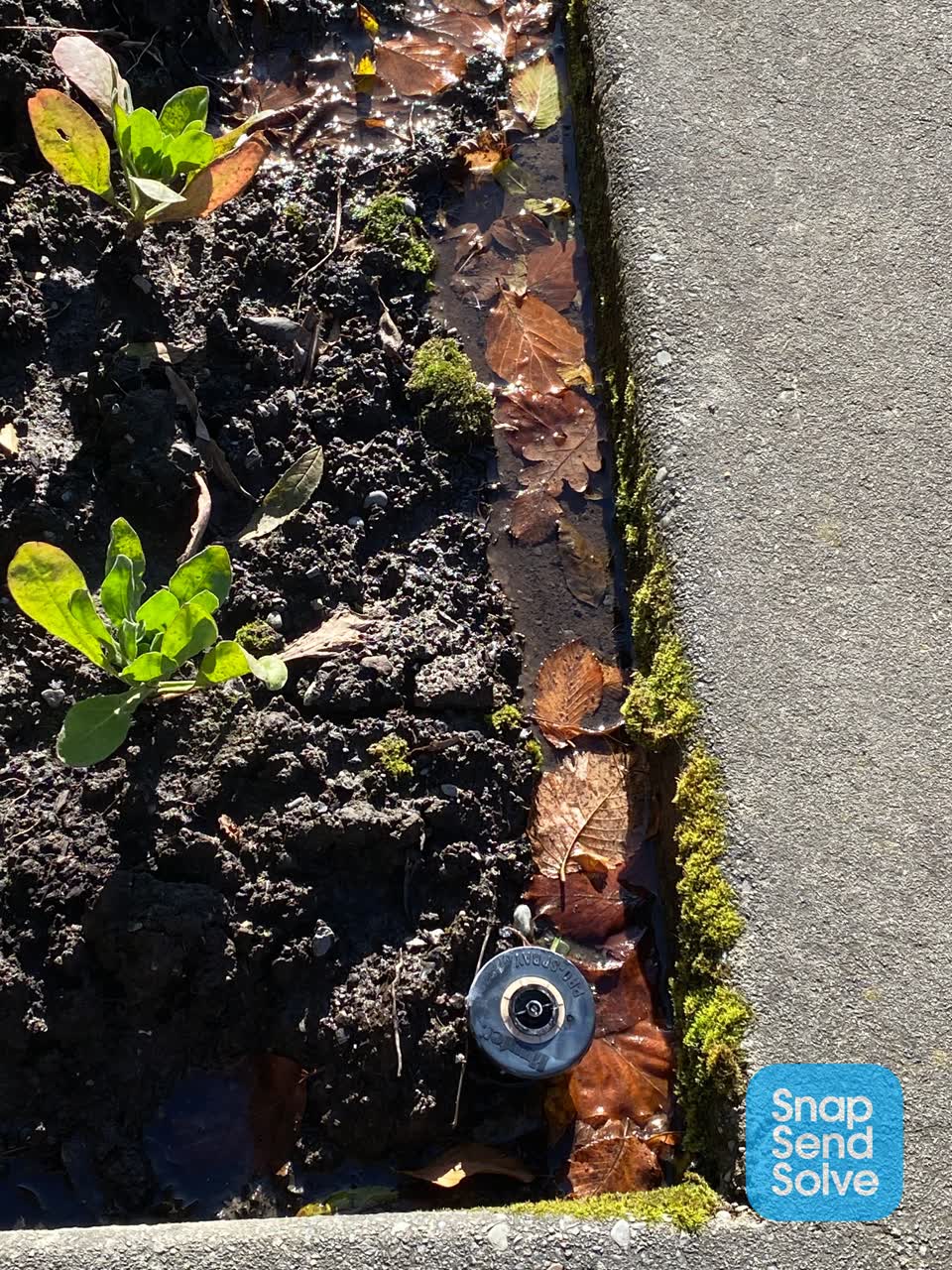 The photograph attached to this water leak report