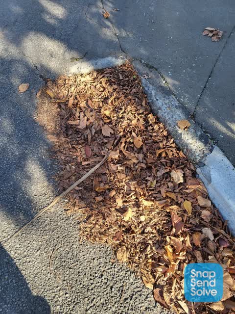 Wastewater/Stormwater, a report photo