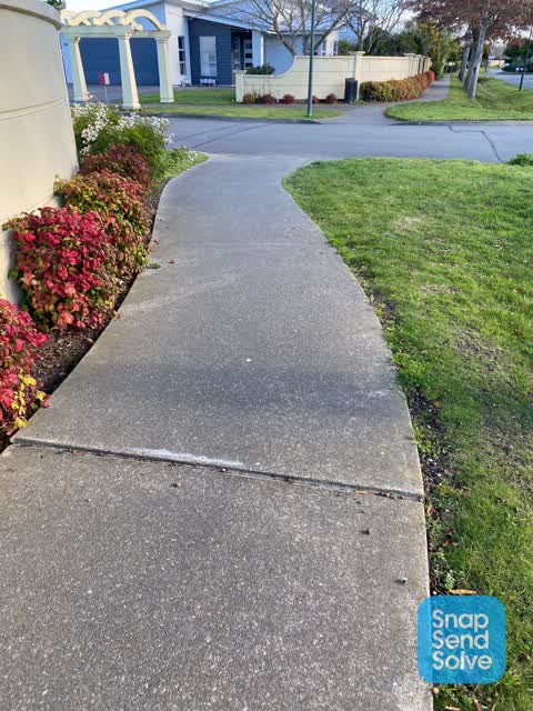 Roading/Streets, a report photo