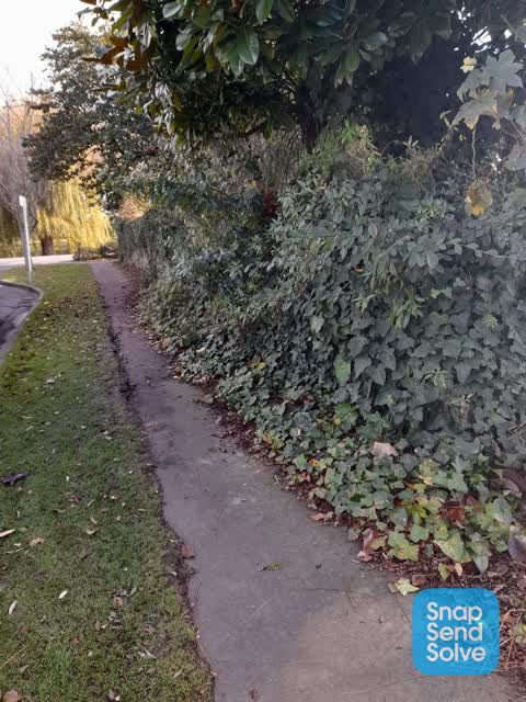Roading/Streets, a report photo