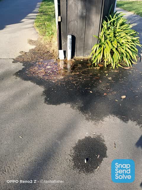 Water Leak, a report photo