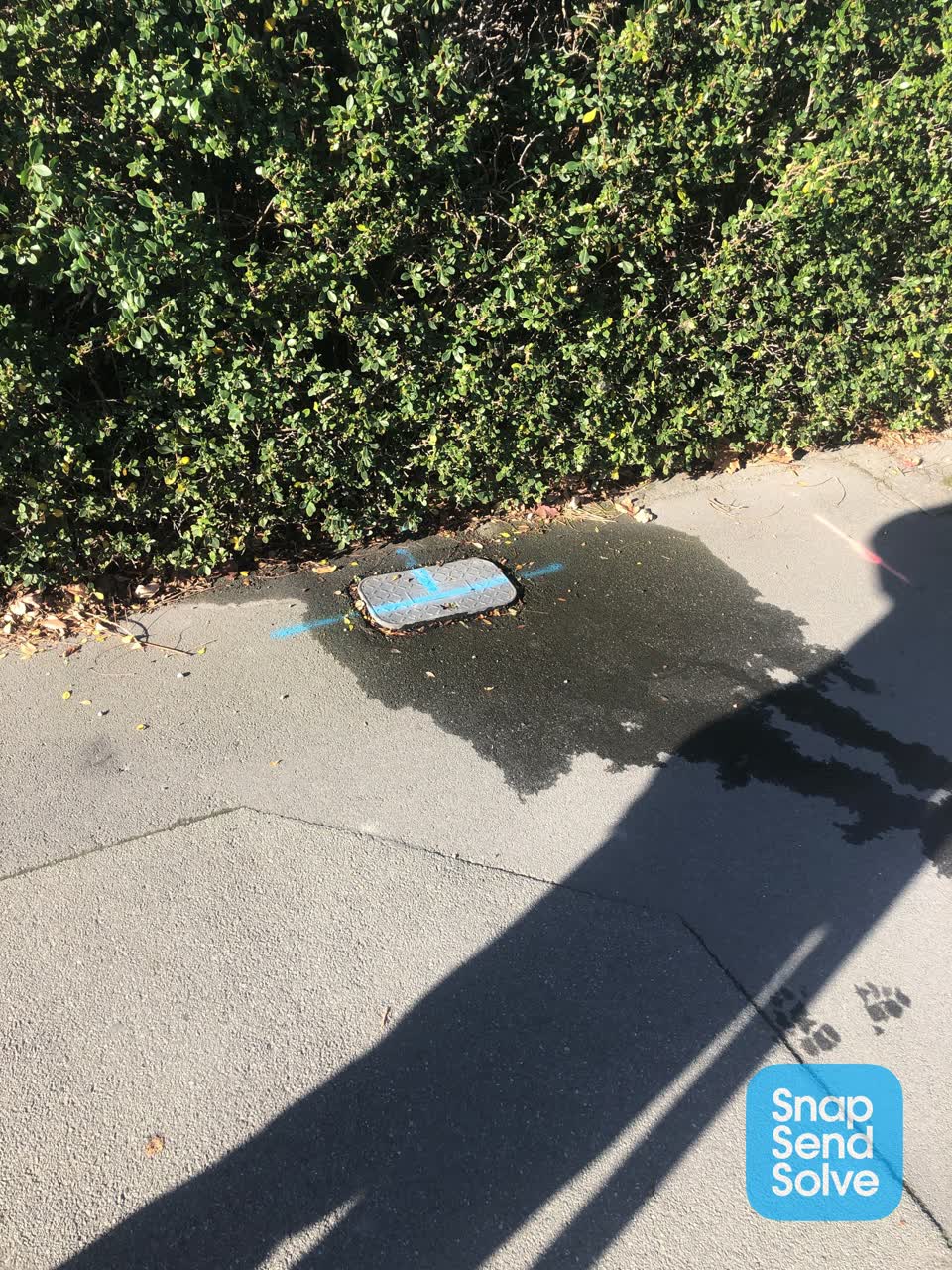 The photograph attached to this water leak report