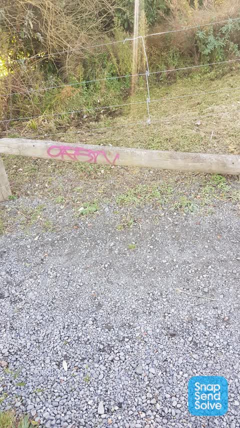 Graffiti, a report photo