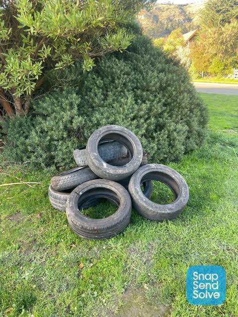 Rubbish/Recycling, a report photo