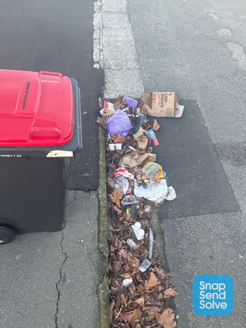Rubbish/Recycling, a report photo