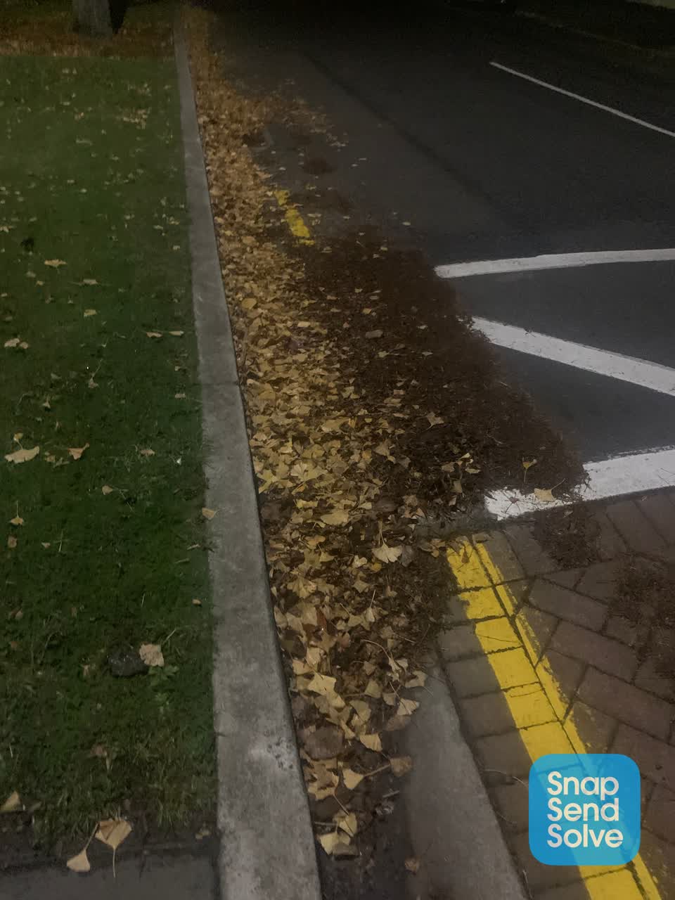 The photograph attached to this roading/streets report