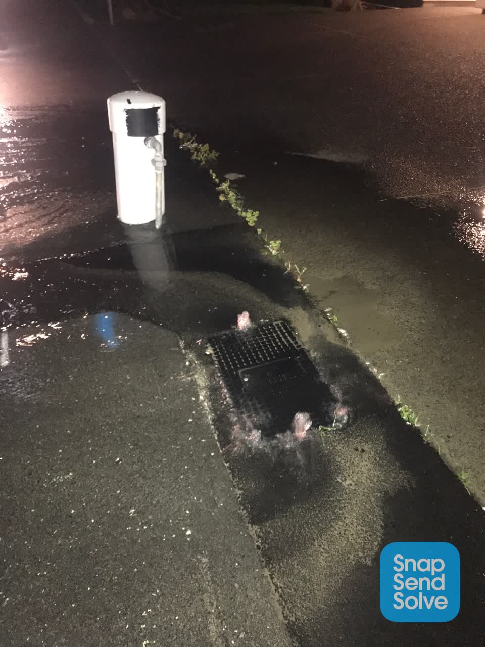 The photograph attached to this water leak report