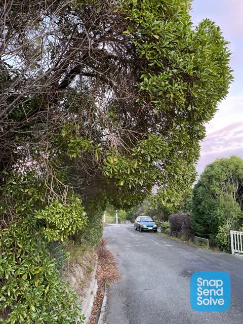 Roading/Streets, a report photo
