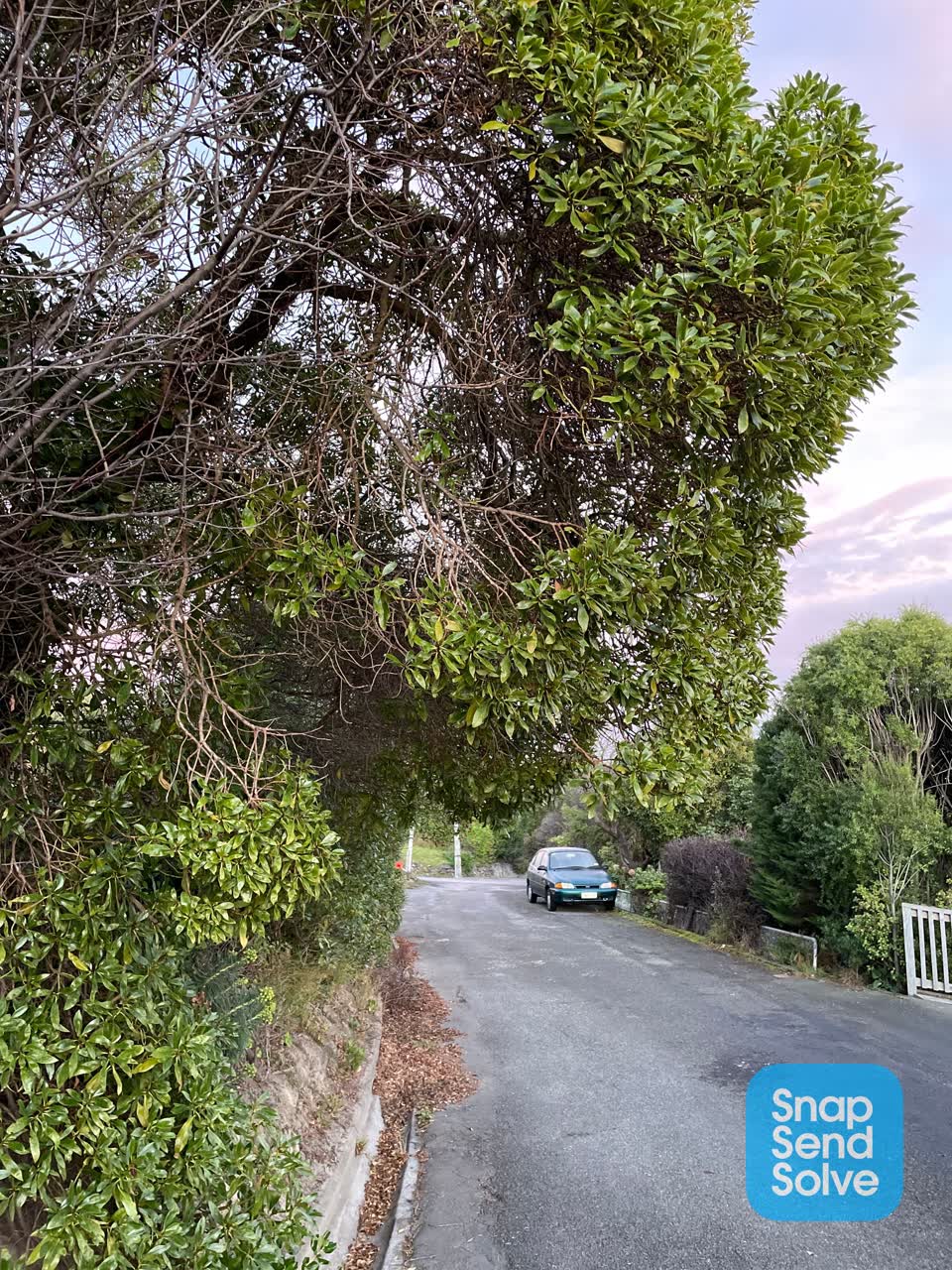 The photograph attached to this roading/streets report