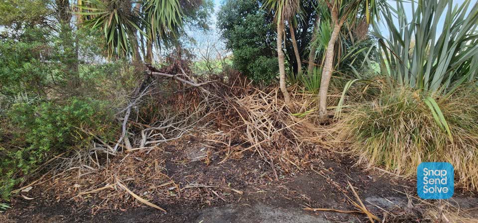 The photograph attached to this parks report